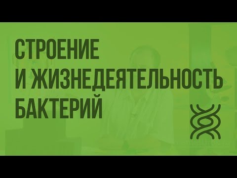Видео: Биология 5 класс. Строение и жизнедеятельность бактерий