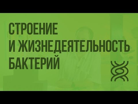 Видео: Строение и жизнедеятельность бактерий. Видеоурок по биологии 5 класс