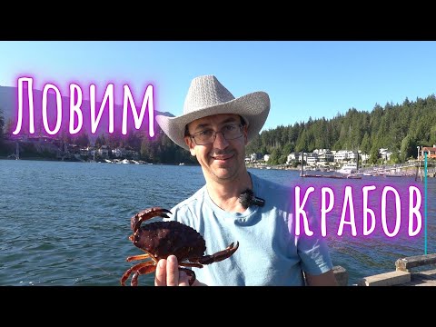 Видео: Ловим крабов в Канаде. Посетили рыбный питомник.