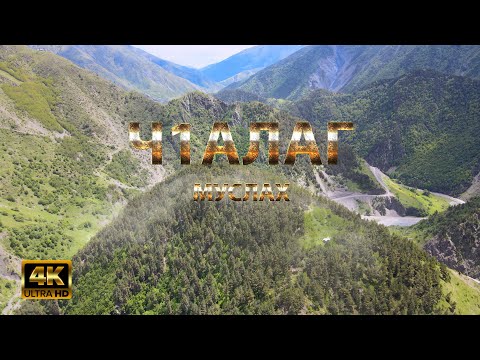 Видео: Ч1алаг Муслах