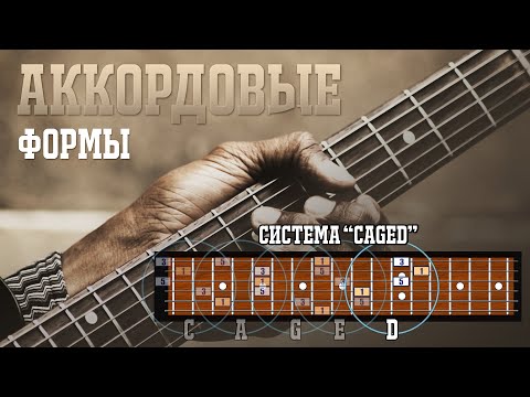 Видео: Аккордовые формы и система «CAGED». Рассказывает Владимир Семенов