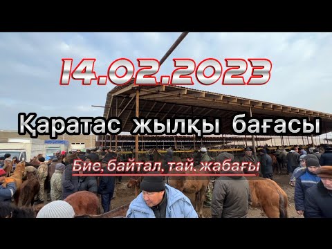 Видео: Каратас мал базары. Шымкент мал базар. Қаратас жылқы бағалары
