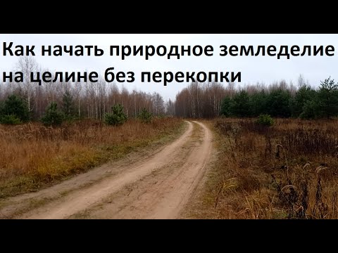 Видео: Целина-природное земледелие от А до Я.