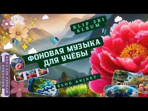 Видео: ФОНОВАЯ МУЗЫКА ДЛЯ УЧЕБЫ // СПОКОЙНАЯ МУЗЫКА // CALM MUSIC WITHOUT SPEECH // mood serene mix 3in1