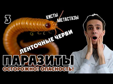 Видео: Опасные бессимптомные паразиты. Паразитарные кисты и паразитарный рак. Мясо, немытые руки и питомцы