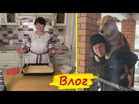 Видео: Битый НЕБИТОГО везет! Бисквитный рулет и БОЛТАЛКА о цветах. Что надо уже срочно сеять?