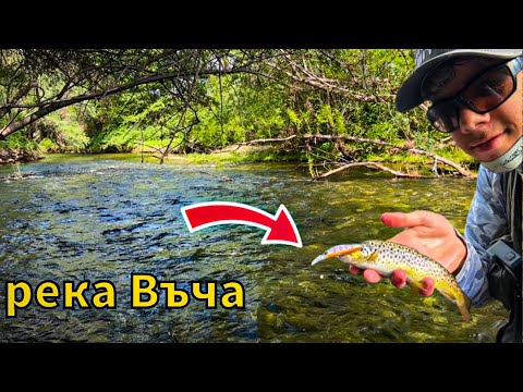 Видео: ПРОЛЕТЕН риболов на РОДОПСКИ БАЛКАНКИ! Риболов с ВОБЛЕРИ на река Въча!