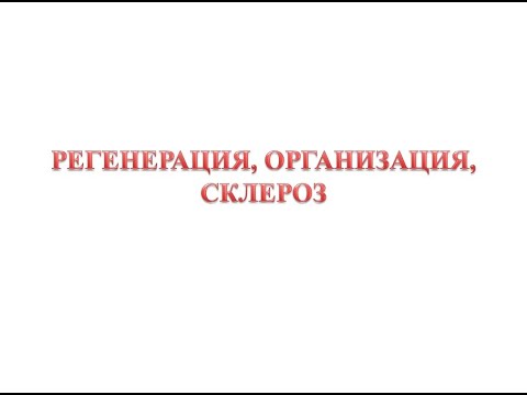 Видео: Регенерация, склероз