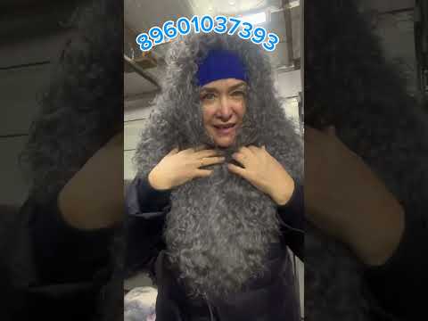 Видео: 6 декабря 2024 г.