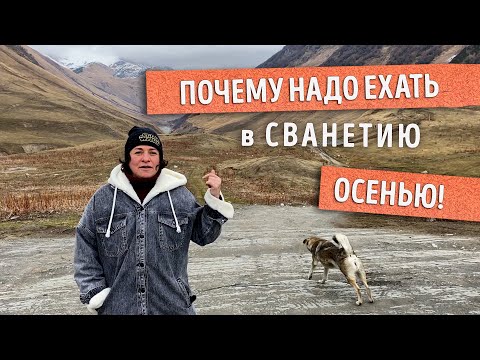 Видео: СВАНЕТИЯ - одно из прекраснейших мест в ГРУЗИИ. КОГДА и КАК ехать, ЧТО посмотреть?