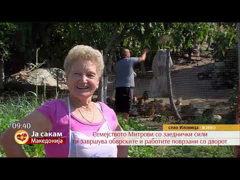 Видео: Подготовка на компот во семејството на Трајчо Митров од село Иловица