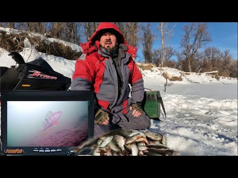 Видео: А ЕХАЛ ЗА ОКУНЯМИ !!! Рыбалка на Оби ( Сузун ) 20 января 2024г.