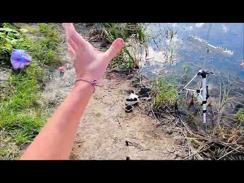 Видео: Рыбак рыбака ненавидит из далека