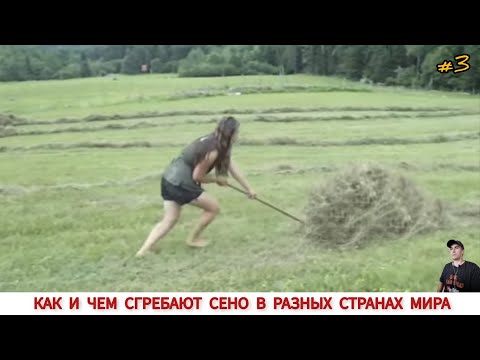 Видео: КАК И ЧЕМ СГРЕБАЮТ СЕНО В РАЗНЫХ СТРАНАХ МИРА #3 /HAY PRODUCTION IN DIFFERENT COUNTRIES OF THE WORLD