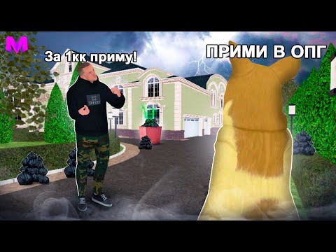 Видео: КАК ВСТУПИТЬ В ЛЮБОЕ ОПГ на МАТРЕШКЕ РП (CRMP mobile)