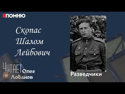 Видео: Скопас Шалом Лейбович. Проект "Я помню" Артема Драбкина. Разведчики.