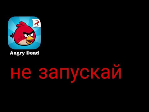 Видео: никогда не запускай Angry Birds в 3:00 ночи