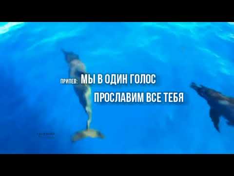 Видео: Мы в один голос