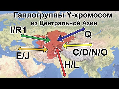 Видео: Гаплогруппы Y-ДНК из Центральной Азии. Филогения Y-хромосом в свете новых данных