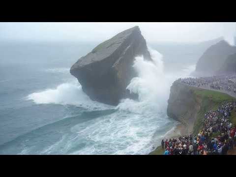 Видео: ОДИН СЛУЧАЙ НА МИЛЛИАРД: природа умеет удивлять!