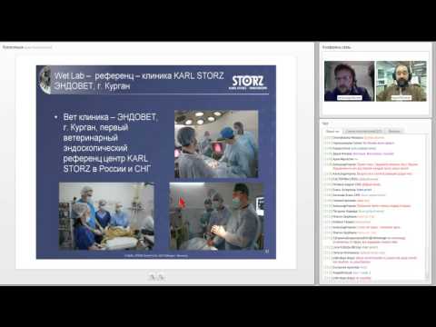 Видео: "Ветеринарная Эндоскопия с чего начать"- вебинар на Vetmedical.ru