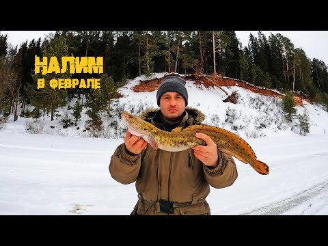 Видео: Ночь на льду. Трачу выходные, ловлю налима, р.Кама