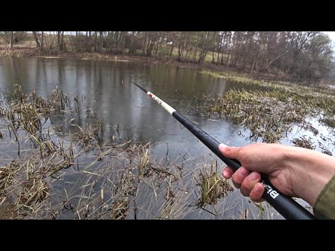 Видео: Не зря перебрался на другой берег... Рыбалка на маленькой речке. Ловля плотвы на поплавок 2022.