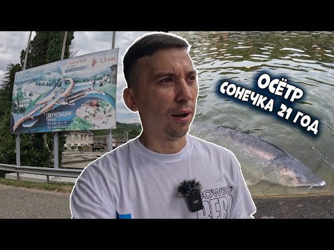 Видео: Сочи Адлер Экскурсия Форелевое хозяйство #сочи
