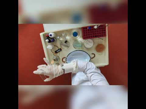 Видео: Грамм әдісі бойынша бояу