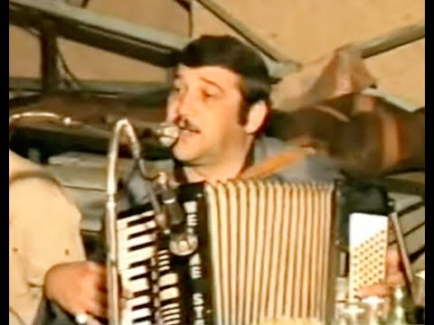 Видео: ИЛЮША ( КОЗИ ) АБРАМОВ !! НИСАН КУКНАРИЕВ !! ИЛЮША БАРАЕВ !! ИЛЮША КАТАЕВ ! СЕМЬЯ ЮСУПОВЫХ - 1988 г.