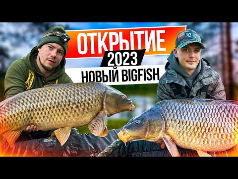 Видео: #карпфишинг * #рыбалка