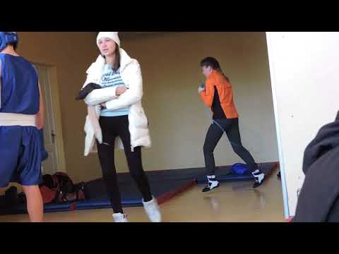 Видео: Порхать как бабочка, жалить как пчела