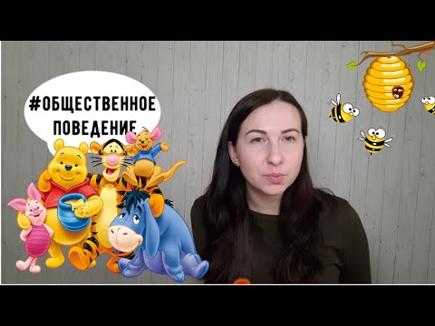 Видео: Биология. Почему некоторые животные понятия не имеют кто их сосед? ОБЩЕСТВЕННОЕ ПОВЕДЕНИЕ ЖИВОТНЫХ.