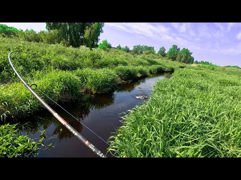 Видео: ТАКОГО КЛЁВА В РУЧЬЕ Я НЕ ОЖИДАЛ !!! Рыбалка на щуку