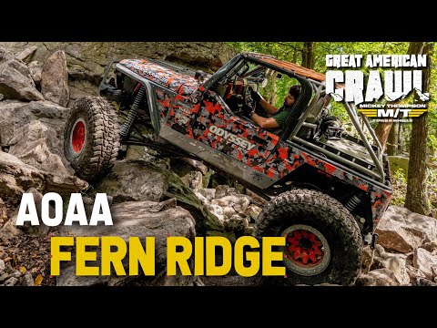 Видео: Знакомимся с AOAA: Fern Ridge, Got The Stones