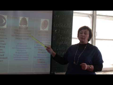 Видео: Нарушение звукопроизношения