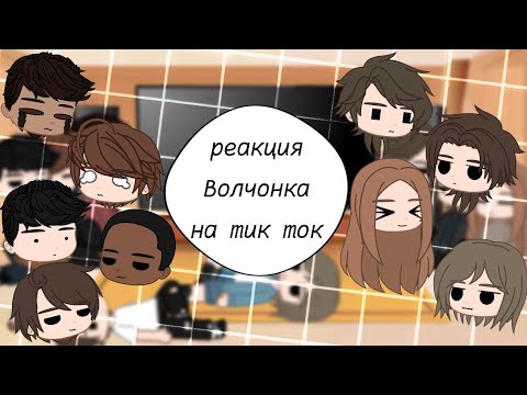 Видео: реакция Волчонка на тик ток || #4 || Волчонок |×