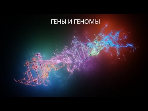 Видео: Гены и геномы. Лекция для студентов Верхневолжского аграрного университета.