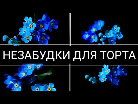 Видео: Незабудки из сахарной мастики