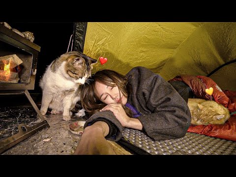 Видео: Зимний кемпинг в лесу был таким теплым / Салат с курицей и кейонезом / 2🐱+1👩 / Индивидуальный поход