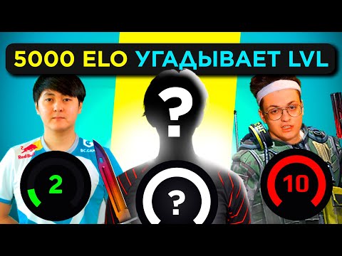 Видео: 5000 ELO УГАДЫВАЕТ ЛВЛ FACEIT ft. ICY (AVANGAR)