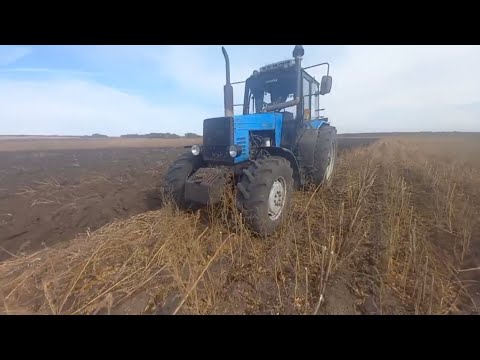 Видео: Пахота после подсолнечника на МТЗ 1221