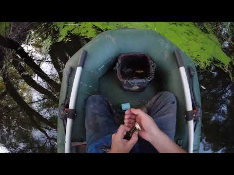 Видео: Полювання на щуку 7
