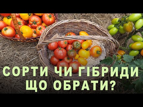 Видео: Гібриди F1 чи сорти? Яке насіння краще обрати? Всі переваги та недоліки сортів і гібридів