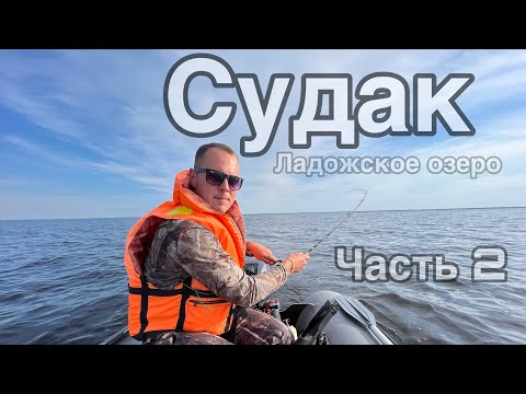 Видео: Ловля судака на Ладоге. Судак на дорожку. Судак 2022. Часть 2