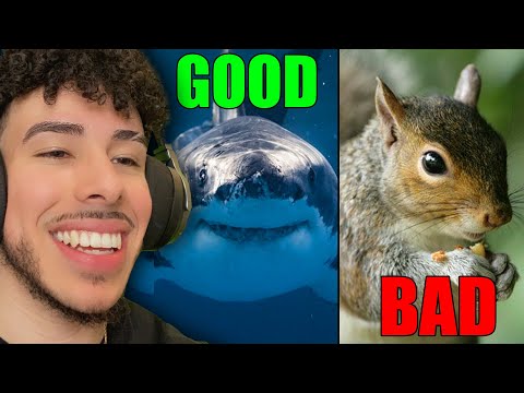 Видео: 10 животных, которых люди не понимают | Casual Geographic Reaction