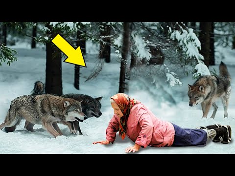 Видео: Старушка пошла в лес и потеряла сознание, а когда очнулась и увидела кто перед ней стоит – обомлела…