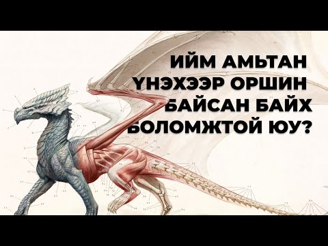 Видео: Луу гэж юу вэ? 🐉