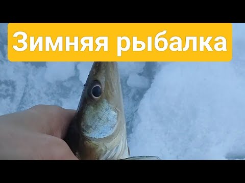 Видео: Зимняя рыбалка. Река Сылва. Пермский край