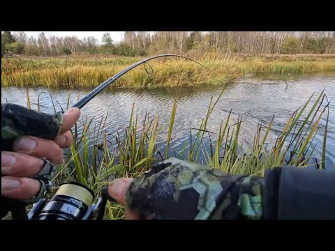 Видео: Малые реки иногда УДИВЛЯЮТ! Ловля ЩУКИ на СПИННИНГ в ОКТЯБРЕ!!! Азартная рыбалка в непогоду!!!